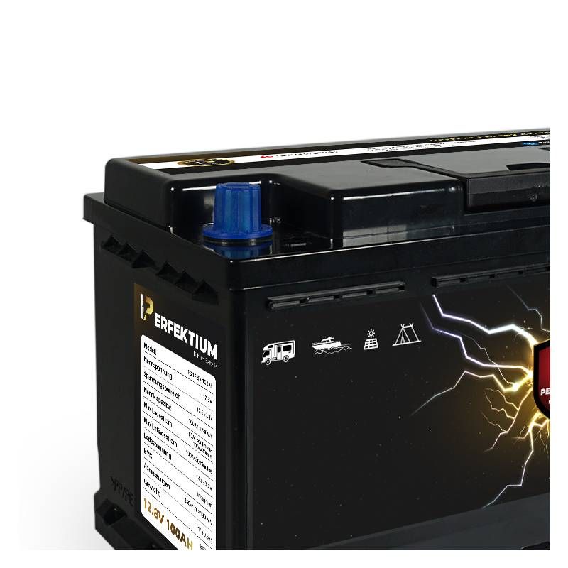 Acumulator Litiu LiFePO4 PERFEKTIUM PF 12.8V 100Ah, Smart Buetooth BMS, Underseat