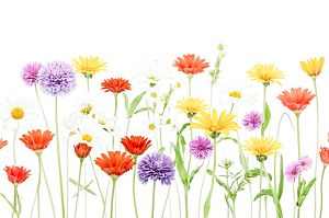 Verificare de primavara